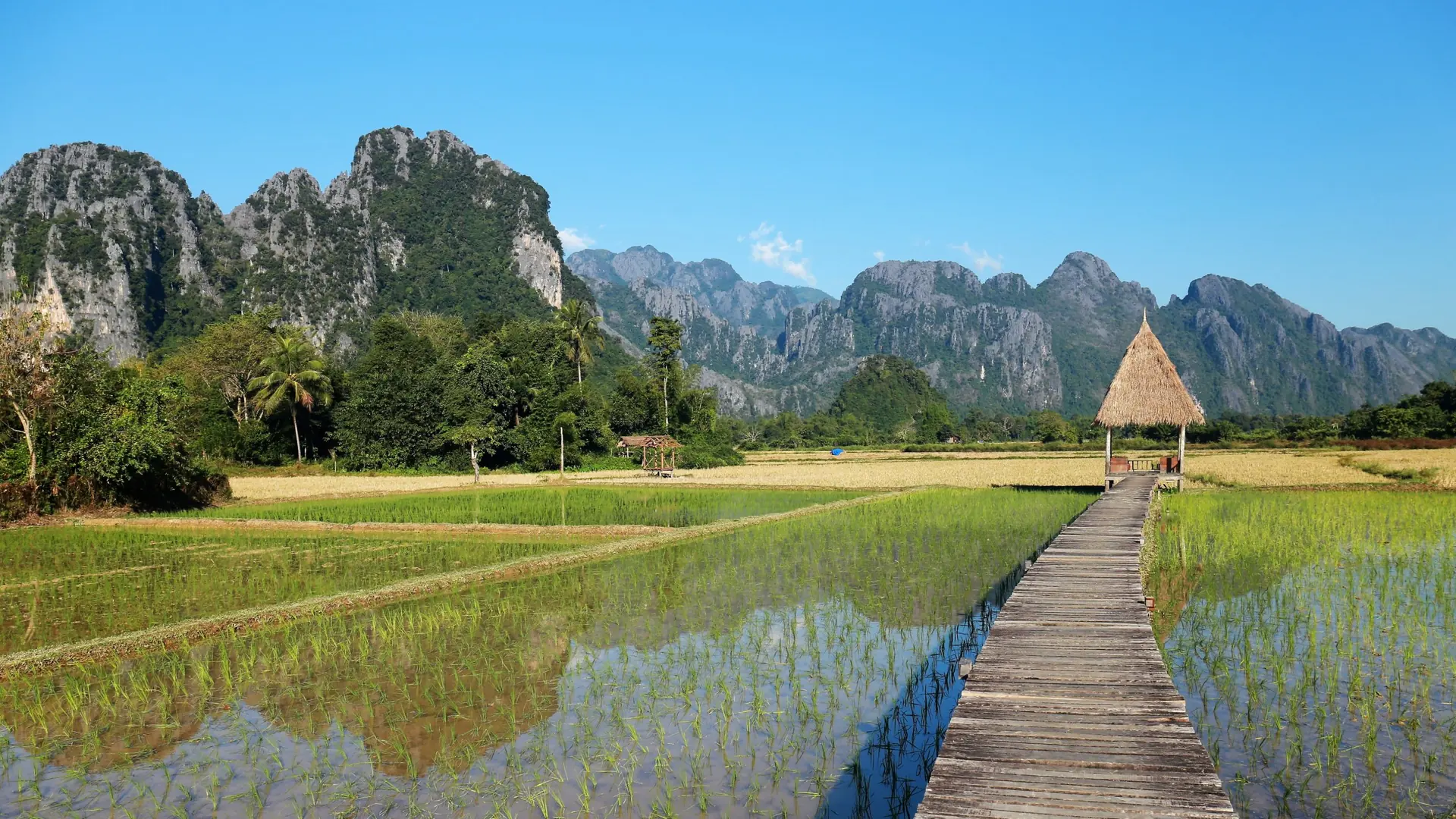 A wooden walkway crossing rice fields to a thatched hut, with the mountains of Vang Vieng, Laos, behind